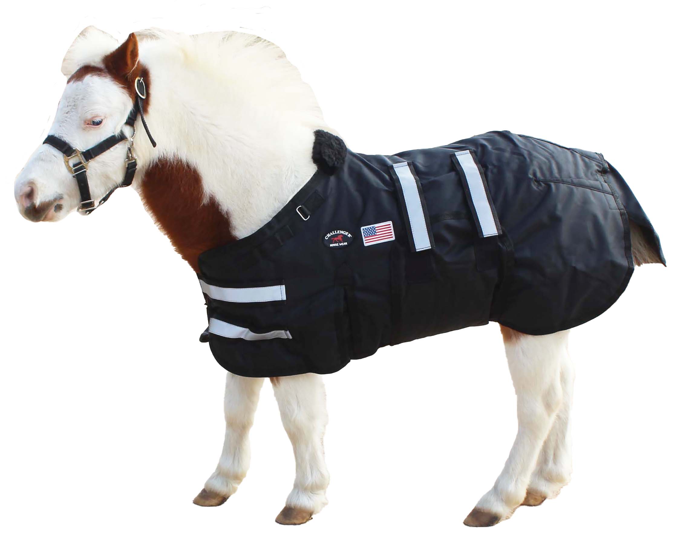 1680D Miniature Weanling Donkey Pony Horse Foal Winter Blanket 519TS01