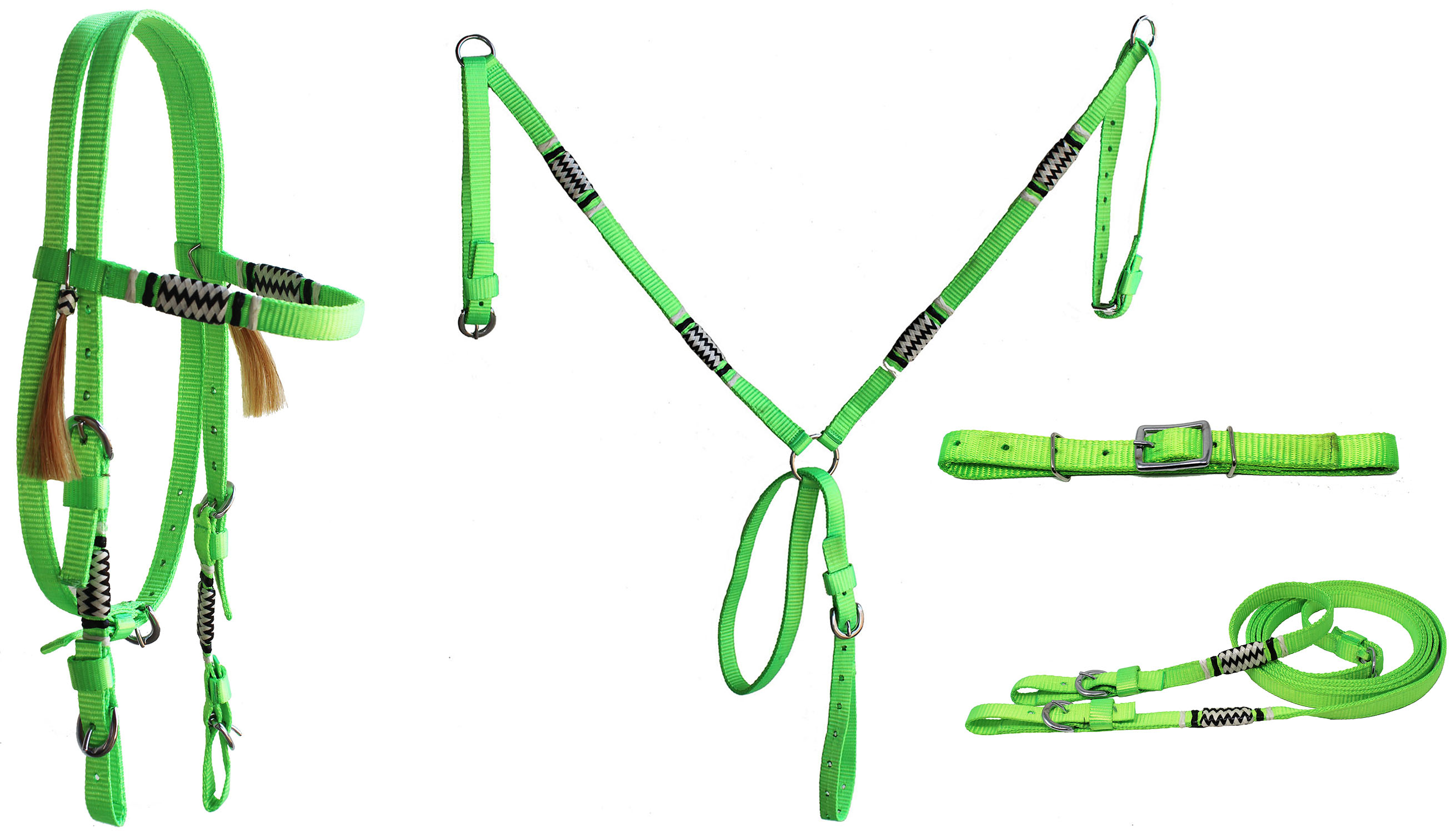 Showman® Mini/Small Pony Nylon Headstall & Beast Colla Set