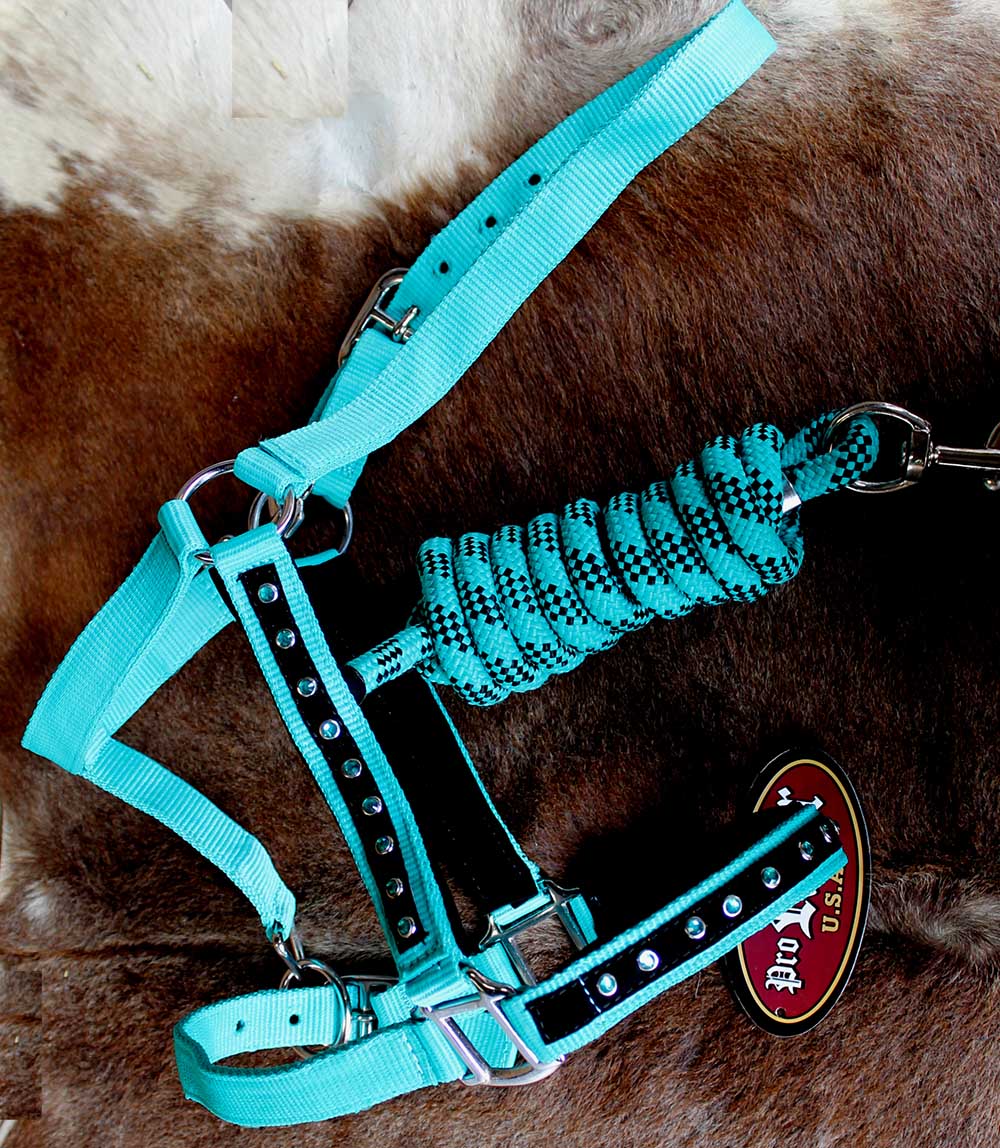 Horse Nylon HALTER Lead Rope Noseband Turquoise Teal Bling Tack Rodeo 60612...