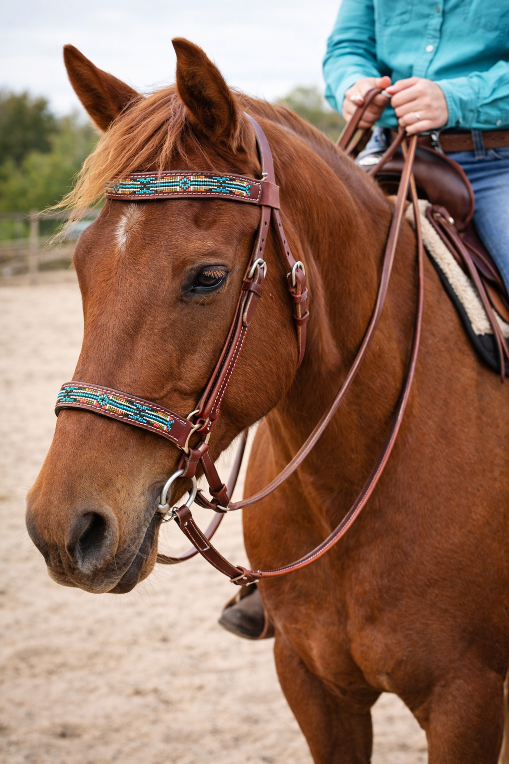 Horse Western English Leather Bitless Sidepull Bridle w/ Split Reins 77RS10