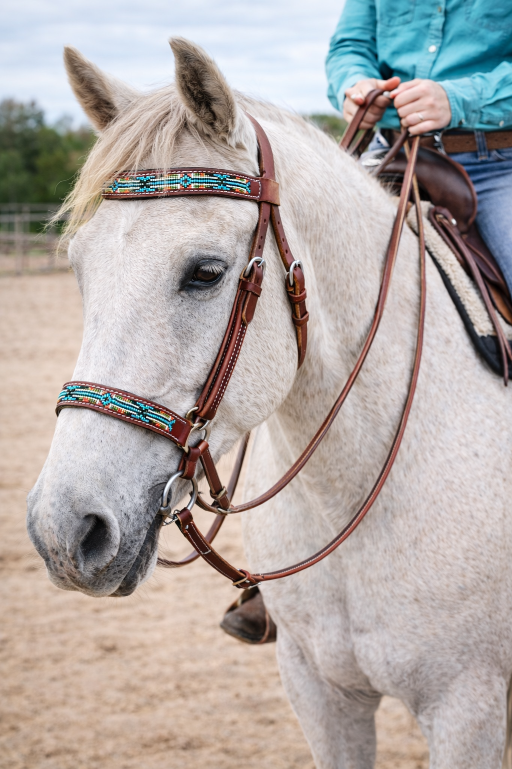 Horse Western English Leather Bitless Sidepull Bridle w/ Split Reins 77RS10